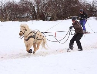  Ski joering Ariège midi pyrennee 